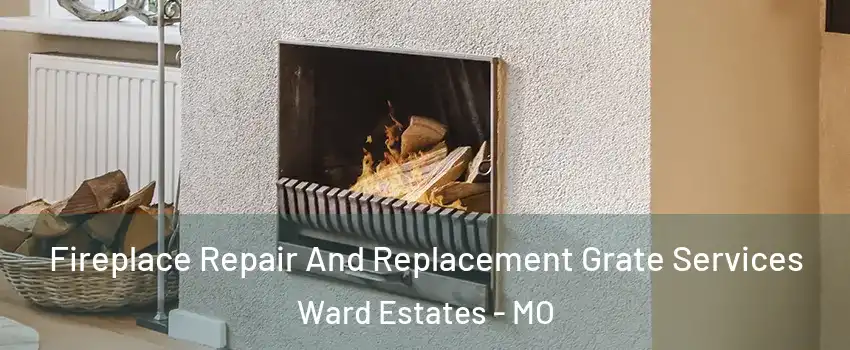 Fireplace Repair And Replacement Grate Services Ward Estates - MO