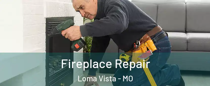 Fireplace Repair Loma Vista - MO