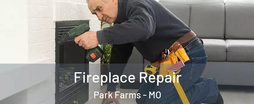 Fireplace Repair Park Farms - MO
