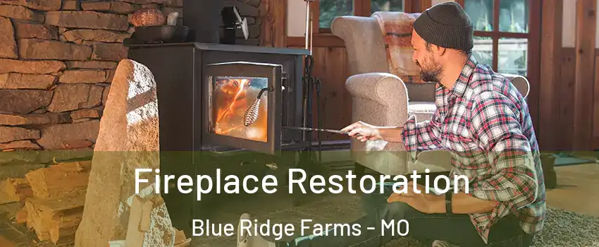 Fireplace Restoration Blue Ridge Farms - MO