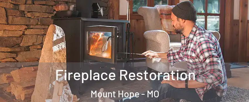 Fireplace Restoration Mount Hope - MO