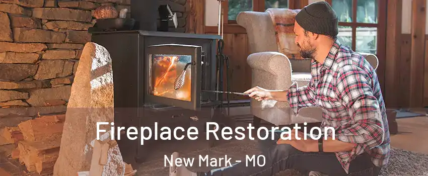 Fireplace Restoration New Mark - MO