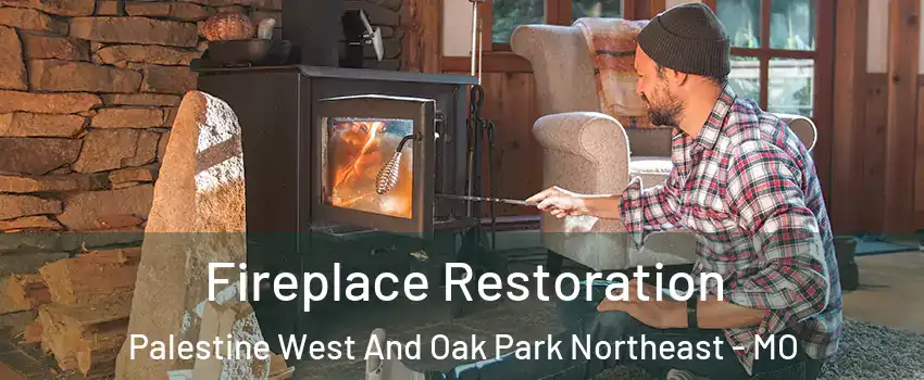 Fireplace Restoration Palestine West And Oak Park Northeast - MO