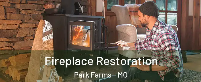 Fireplace Restoration Park Farms - MO