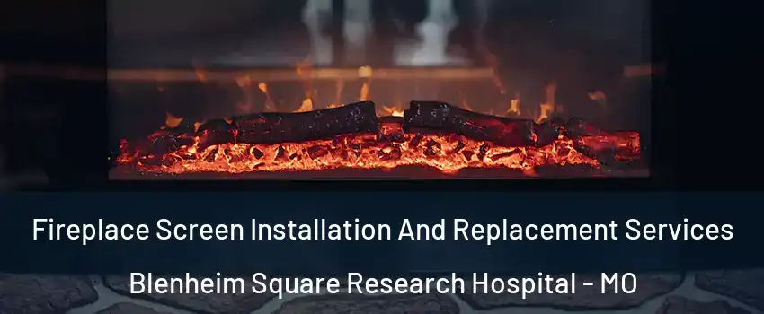 Fireplace Screen Installation And Replacement Services Blenheim Square Research Hospital - MO