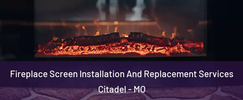 Fireplace Screen Installation And Replacement Services Citadel - MO