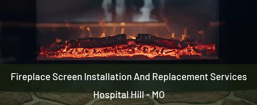 Fireplace Screen Installation And Replacement Services Hospital Hill - MO
