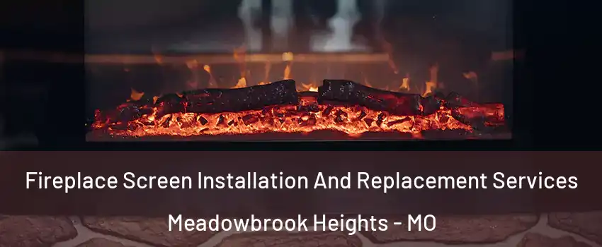 Fireplace Screen Installation And Replacement Services Meadowbrook Heights - MO
