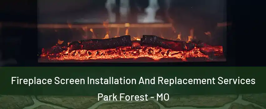 Fireplace Screen Installation And Replacement Services Park Forest - MO