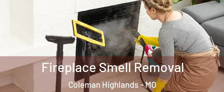 Fireplace Smell Removal Coleman Highlands - MO
