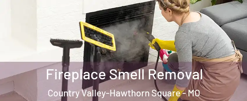 Fireplace Smell Removal Country Valley-Hawthorn Square - MO