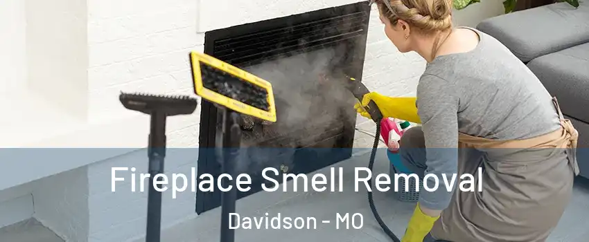 Fireplace Smell Removal Davidson - MO