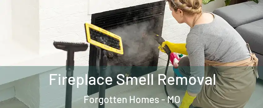Fireplace Smell Removal Forgotten Homes - MO