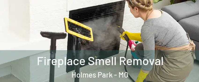 Fireplace Smell Removal Holmes Park - MO