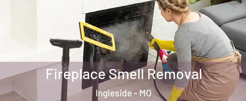 Fireplace Smell Removal Ingleside - MO