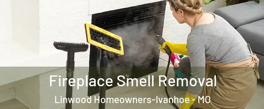Fireplace Smell Removal Linwood Homeowners-Ivanhoe - MO
