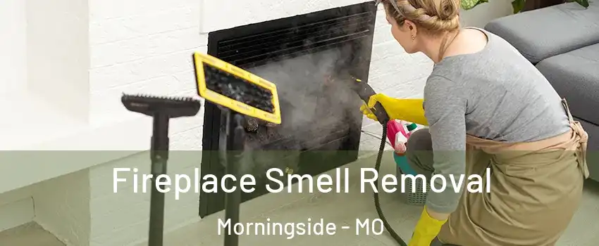Fireplace Smell Removal Morningside - MO