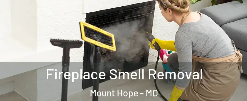 Fireplace Smell Removal Mount Hope - MO