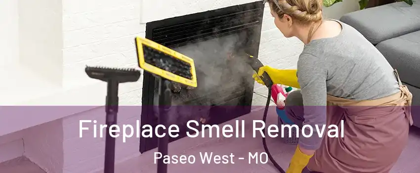 Fireplace Smell Removal Paseo West - MO