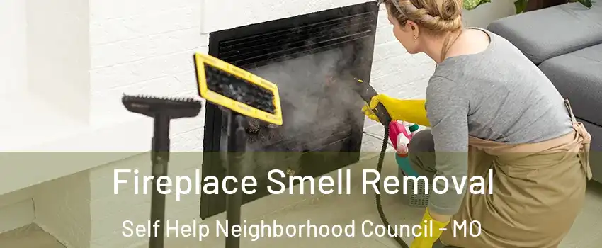 Fireplace Smell Removal Self Help Neighborhood Council - MO