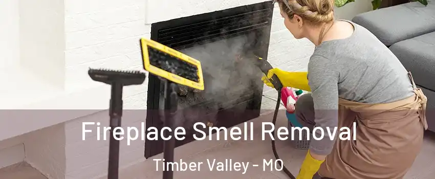 Fireplace Smell Removal Timber Valley - MO