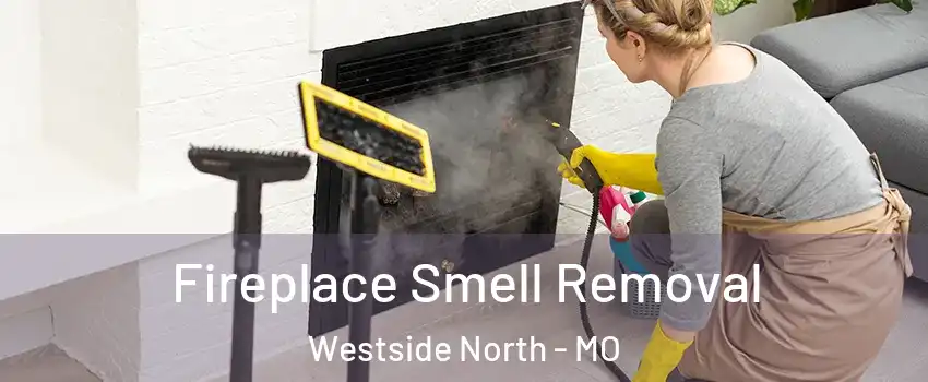 Fireplace Smell Removal Westside North - MO