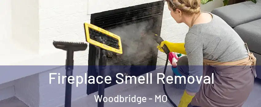 Fireplace Smell Removal Woodbridge - MO
