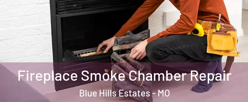 Fireplace Smoke Chamber Repair Blue Hills Estates - MO