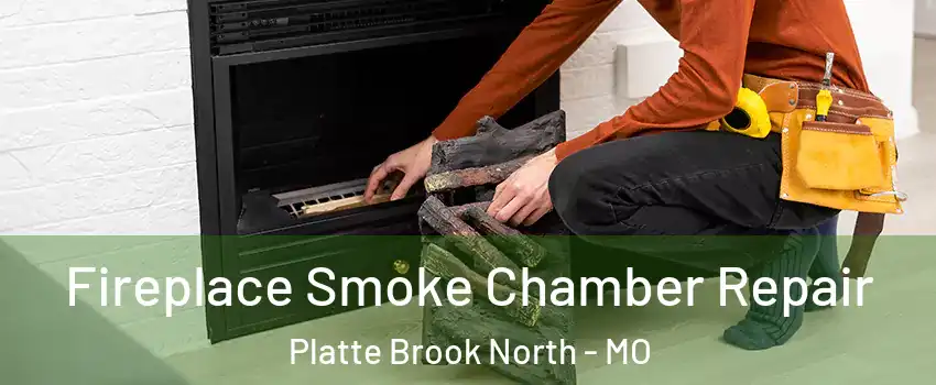 Fireplace Smoke Chamber Repair Platte Brook North - MO