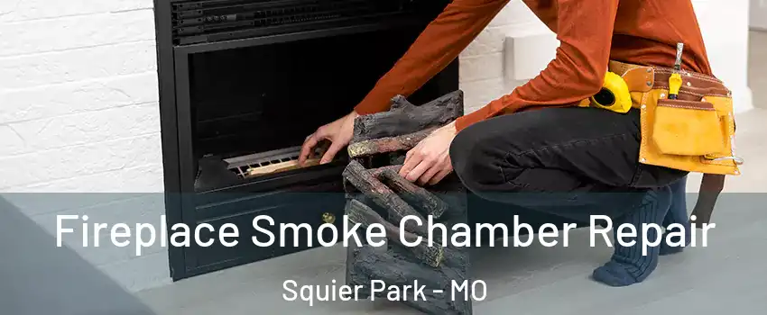Fireplace Smoke Chamber Repair Squier Park - MO
