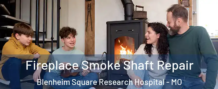 Fireplace Smoke Shaft Repair Blenheim Square Research Hospital - MO