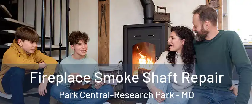 Fireplace Smoke Shaft Repair Park Central-Research Park - MO
