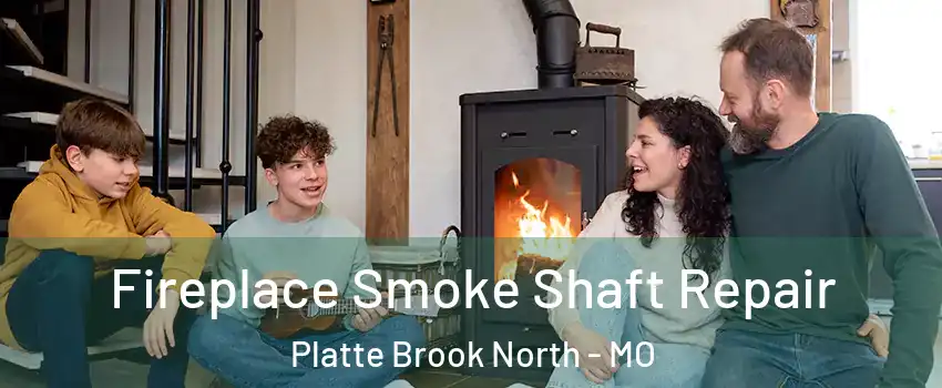 Fireplace Smoke Shaft Repair Platte Brook North - MO