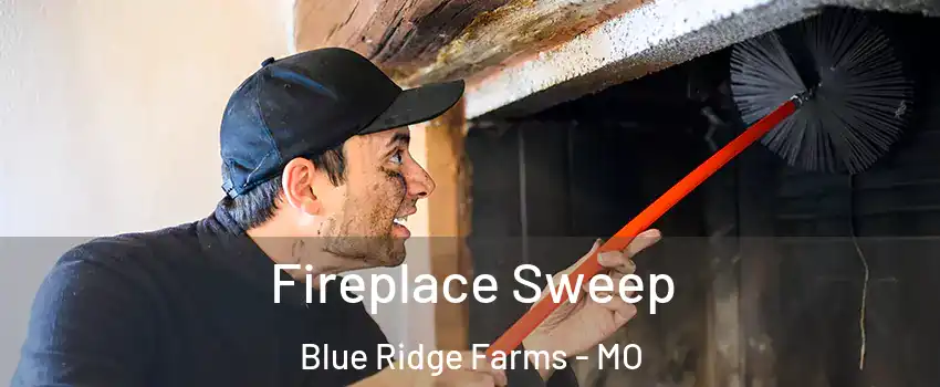 Fireplace Sweep Blue Ridge Farms - MO