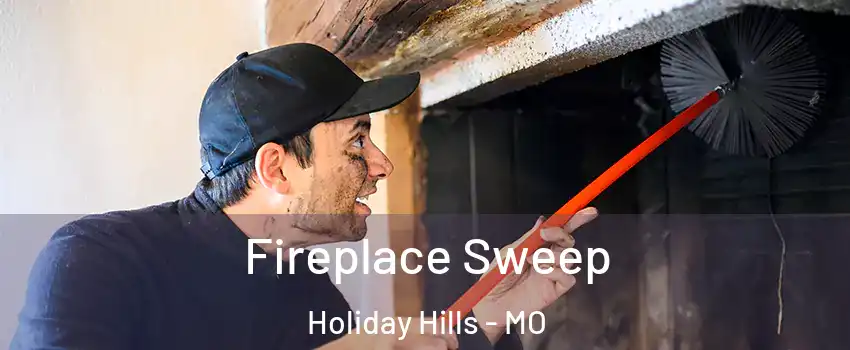 Fireplace Sweep Holiday Hills - MO