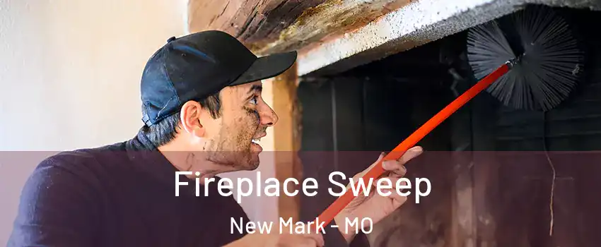 Fireplace Sweep New Mark - MO