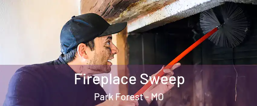 Fireplace Sweep Park Forest - MO