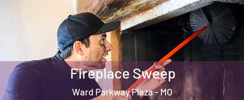Fireplace Sweep Ward Parkway Plaza - MO