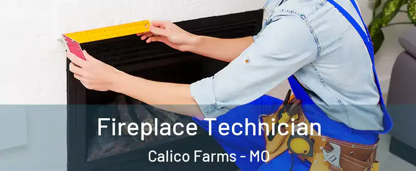 Fireplace Technician Calico Farms - MO
