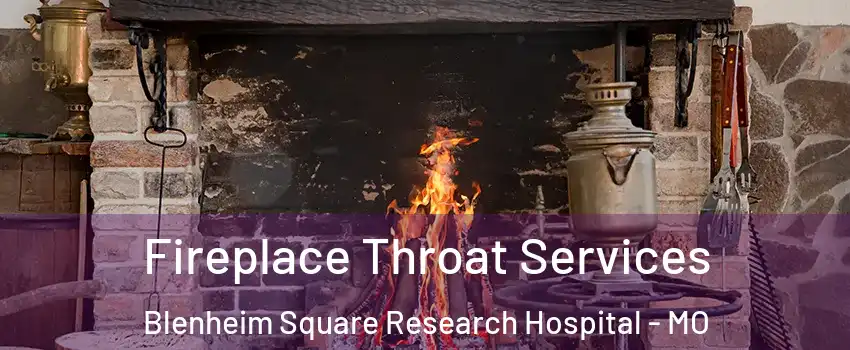 Fireplace Throat Services Blenheim Square Research Hospital - MO