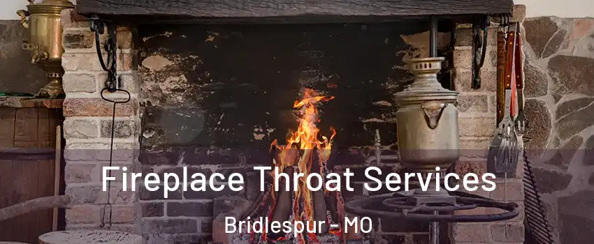 Fireplace Throat Services Bridlespur - MO