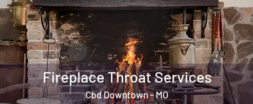 Fireplace Throat Services Cbd Downtown - MO