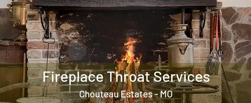 Fireplace Throat Services Chouteau Estates - MO