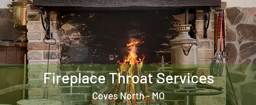 Fireplace Throat Services Coves North - MO