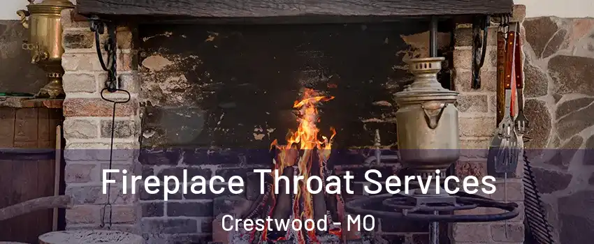 Fireplace Throat Services Crestwood - MO