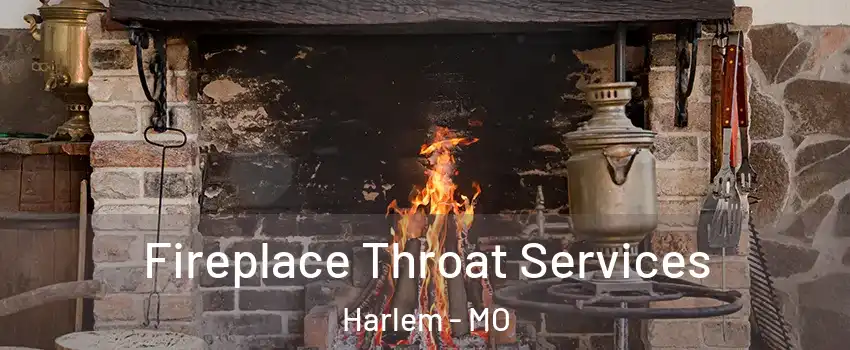 Fireplace Throat Services Harlem - MO