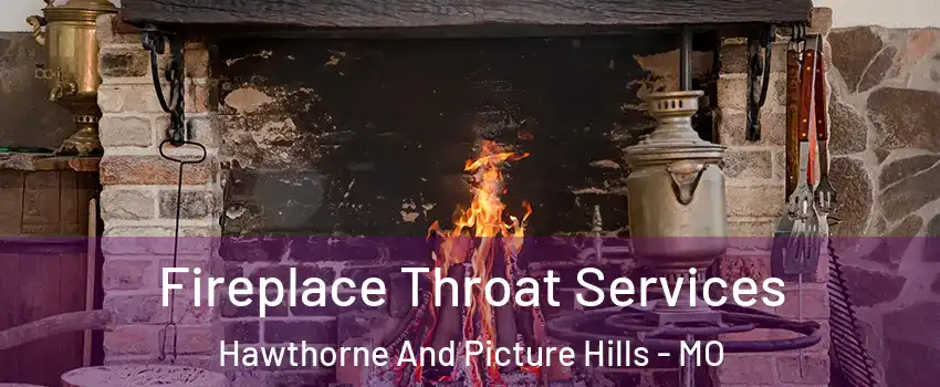 Fireplace Throat Services Hawthorne And Picture Hills - MO