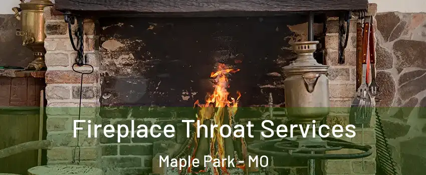 Fireplace Throat Services Maple Park - MO
