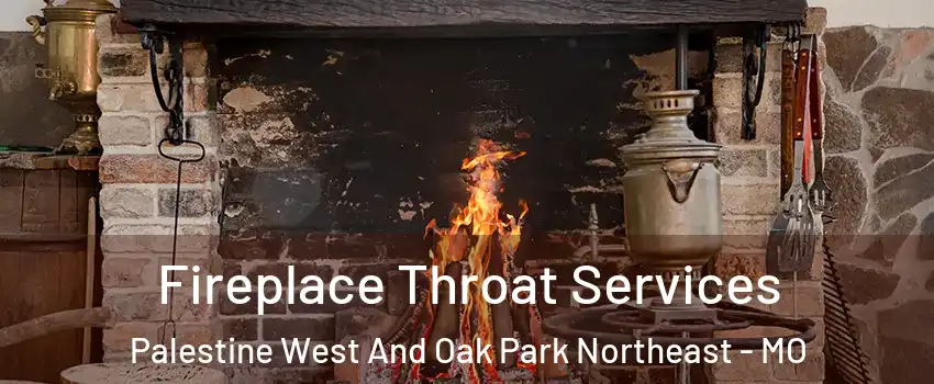 Fireplace Throat Services Palestine West And Oak Park Northeast - MO