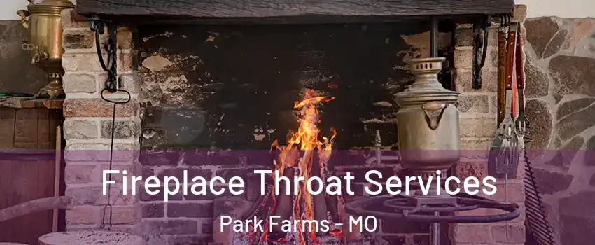 Fireplace Throat Services Park Farms - MO